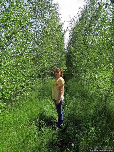 Есть лес, и есть опушка... и будет здесь избушка