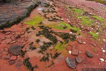 Берег красного песка... Рокки-Пойнт