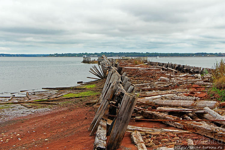 Берег красного песка... Рокки-Пойнт