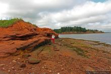 Берег красного песка... Рокки-Пойнт