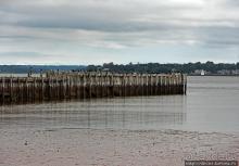 Берег красного песка... Рокки-Пойнт