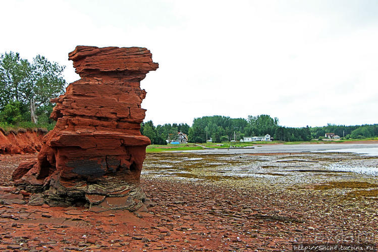 Берег красного песка... Рокки-Пойнт