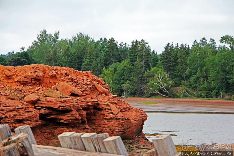 Берег красного песка... Рокки-Пойнт