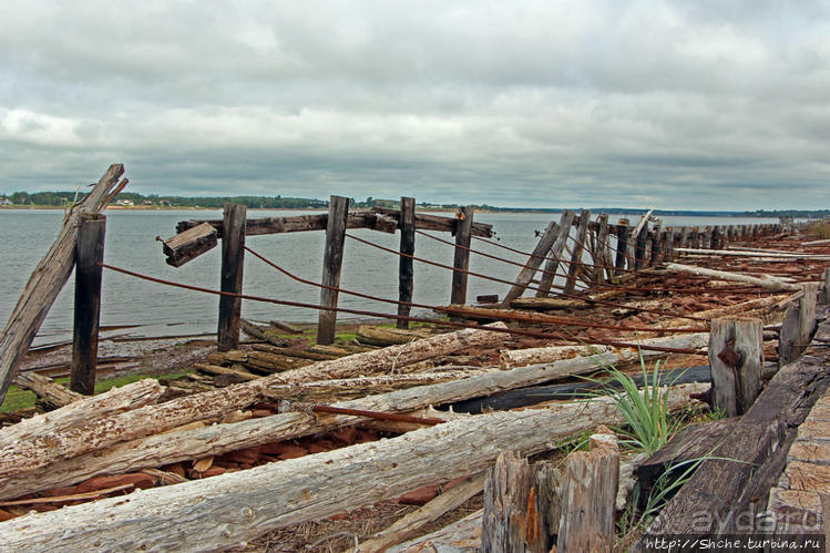Берег красного песка... Рокки-Пойнт