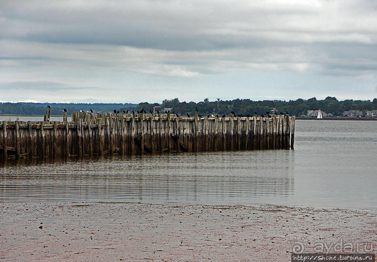 Берег красного песка... Рокки-Пойнт