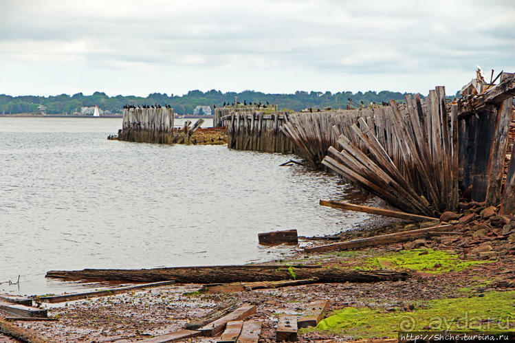 Берег красного песка... Рокки-Пойнт