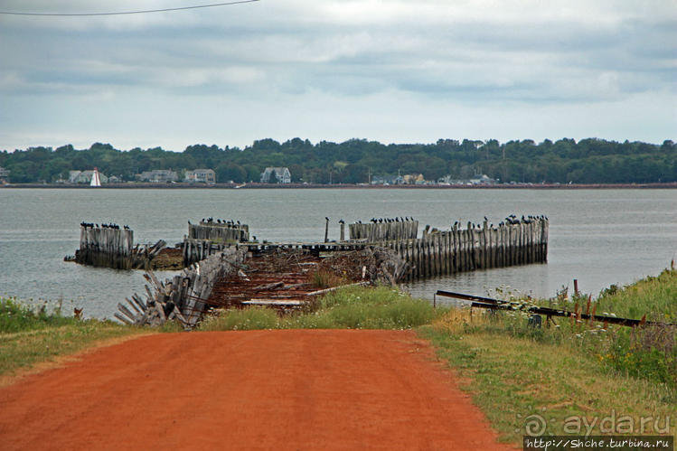 Берег красного песка... Рокки-Пойнт