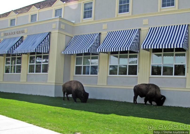 Обычный фастфуд с претензией на ресторан