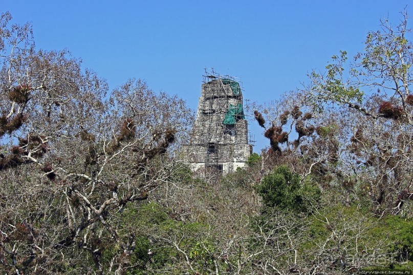 Тикаль. Пирамидальный Храм V