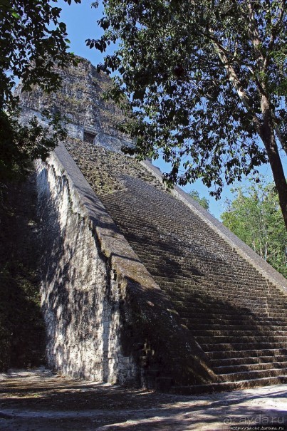 Тикаль. Пирамидальный Храм V