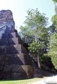 Тикаль. Пирамидальный Храм V