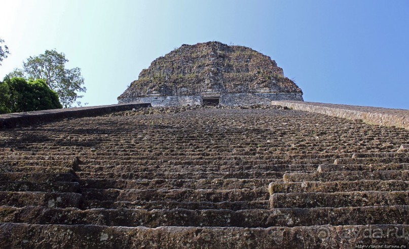 Тикаль. Пирамидальный Храм V