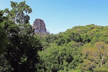 Тикаль. Пирамидальный Храм V