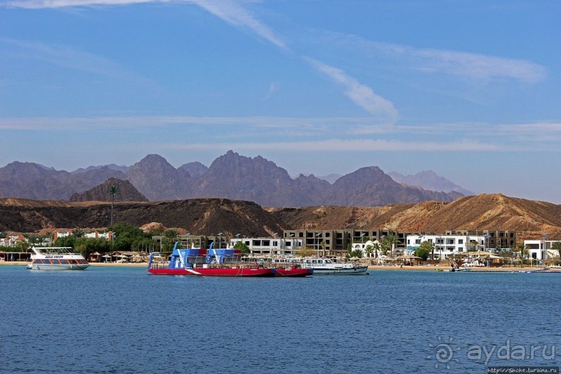 Дедушкинский долг. Исполняется впервые