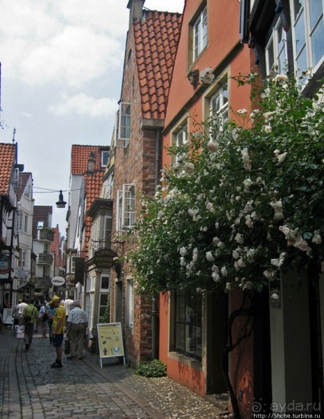 ЧМ-2006 по футболу в Германии. Бремен