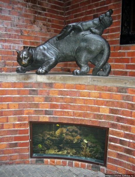 ЧМ-2006 по футболу в Германии. Бремен