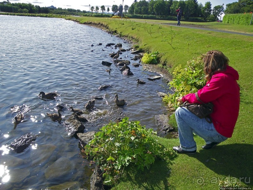 Тьёрнин — по-исландски просто "пруд"