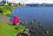 Тьёрнин — по-исландски просто "пруд"