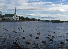 Тьёрнин — по-исландски просто "пруд"