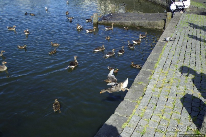 Тьёрнин — по-исландски просто "пруд" Тьёрнин — по-исландски просто "пруд"