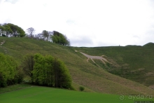 Cherhill White Horse — редкость, среди объектов эпох неолита