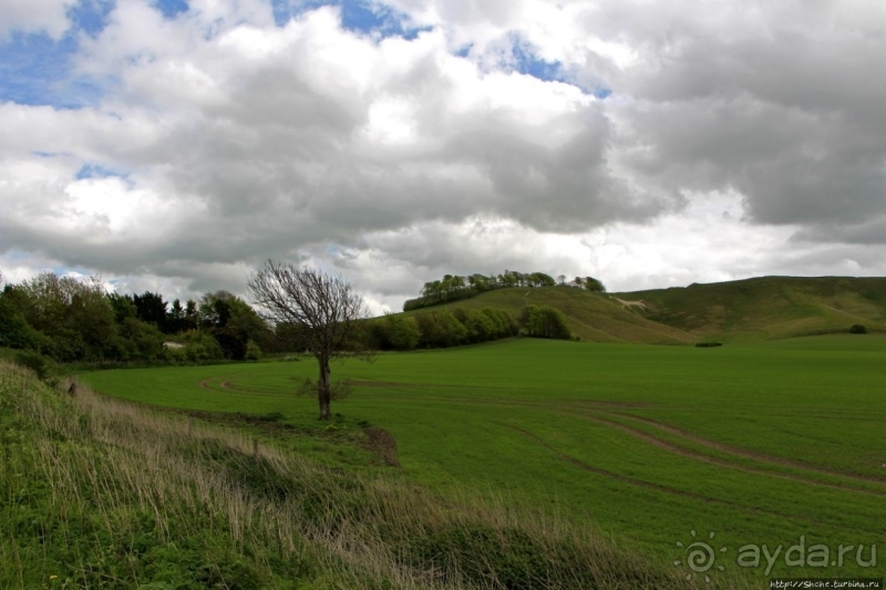 Cherhill White Horse — редкость, среди объектов эпох неолита