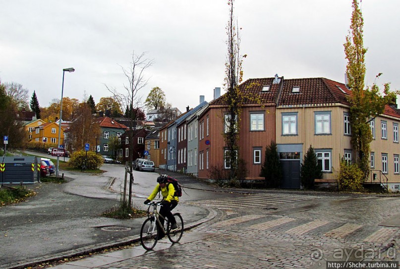 Mollenberg — район для жизни