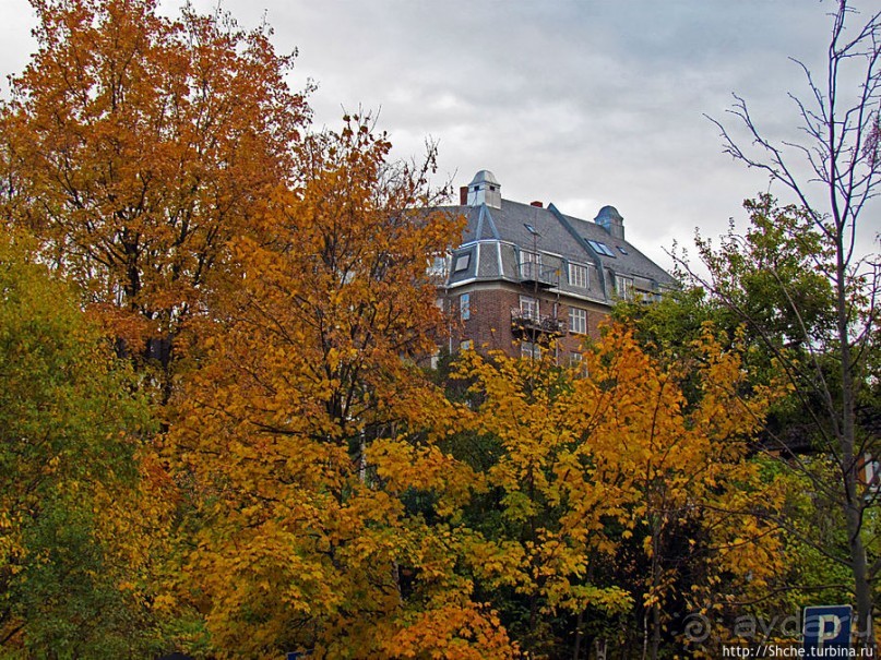 Mollenberg — район для жизни