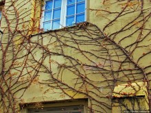 Mollenberg — район для жизни