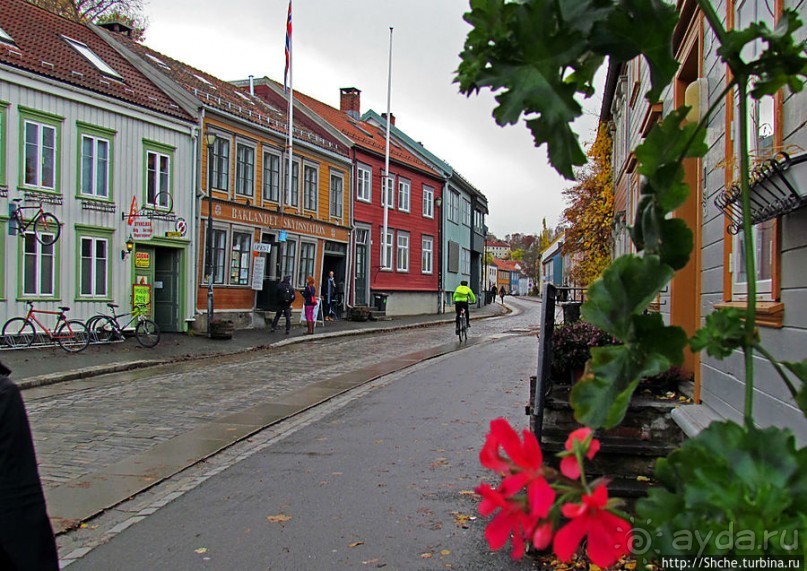 Mollenberg — район для жизни