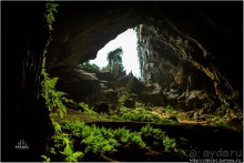 По земле, по воде, по воздуху. Джунгли Вьетнама и Лаоса 2015