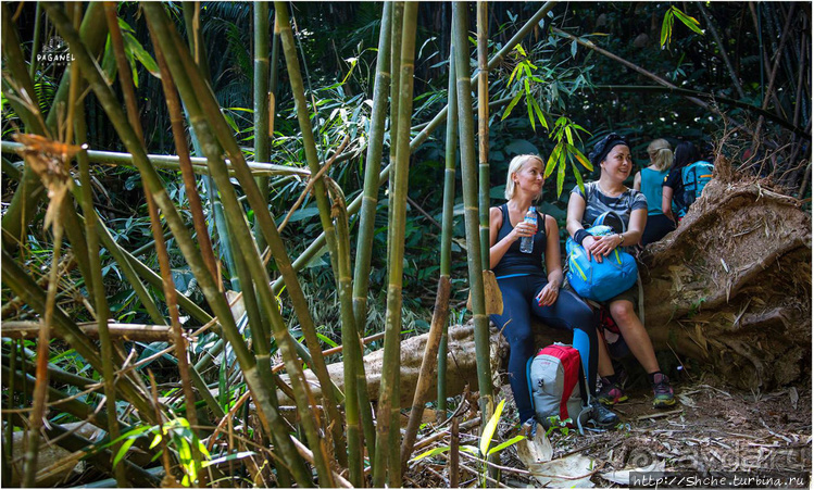 По земле, по воде, по воздуху. Джунгли Вьетнама и Лаоса 2015
