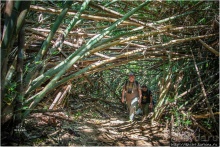 По земле, по воде, по воздуху. Джунгли Вьетнама и Лаоса 2015