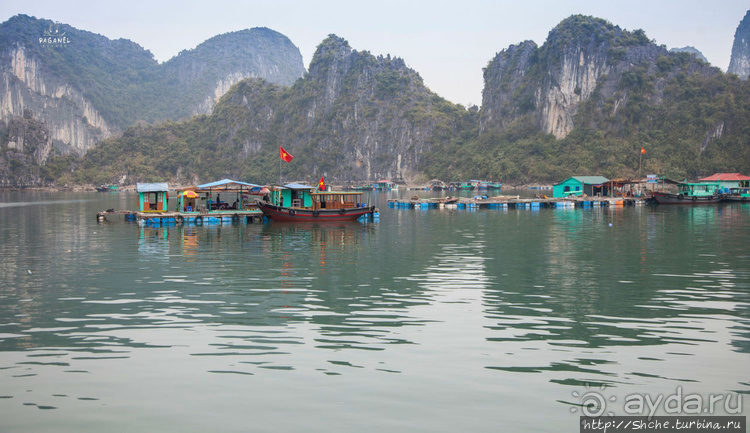 По земле, по воде, по воздуху. Джунгли Вьетнама и Лаоса 2015