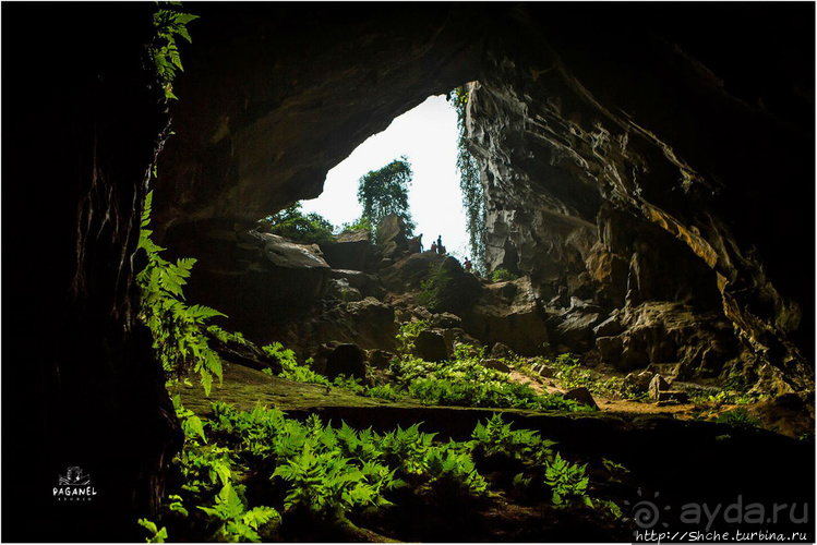 По земле, по воде, по воздуху. Джунгли Вьетнама и Лаоса 2015