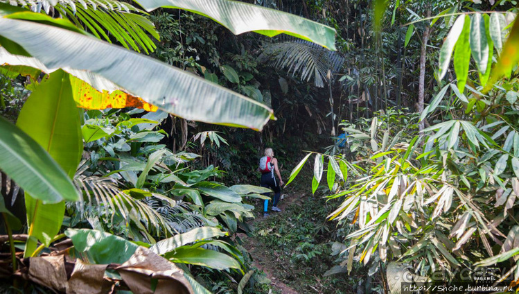 По земле, по воде, по воздуху. Джунгли Вьетнама и Лаоса 2015