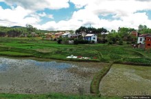 Мадагаскарский калейдоскоп. Большая стирка