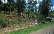 Мадагаскарский калейдоскоп. Большая стирка