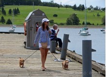 Гавань Луненберг — приятное лицо колоритного города