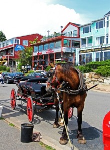 Гавань Луненберг — приятное лицо колоритного города