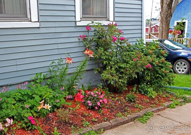 Гавань Луненберг — приятное лицо колоритного города