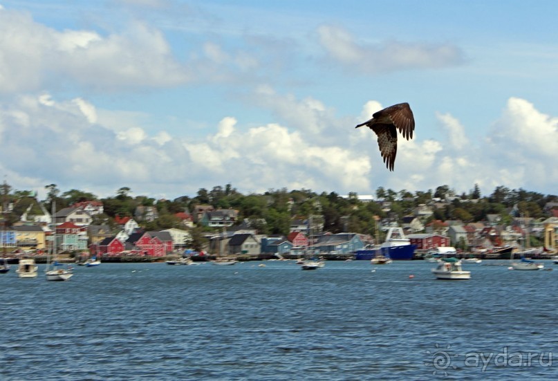 Гавань Луненберг — приятное лицо колоритного города