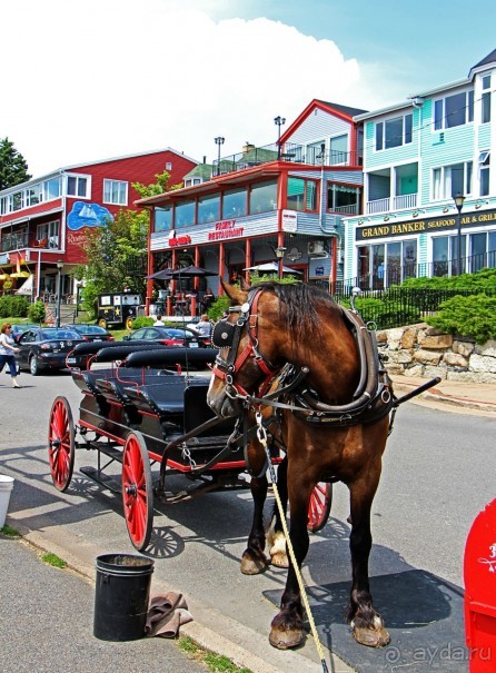 Гавань Луненберг — приятное лицо колоритного города