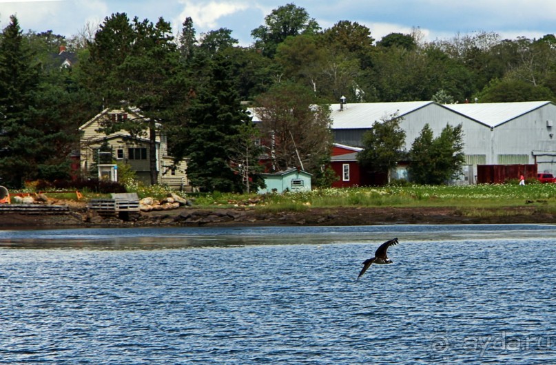 Гавань Луненберг — приятное лицо колоритного города