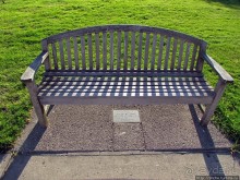 University of Toledo — один из крупнейших университетов США