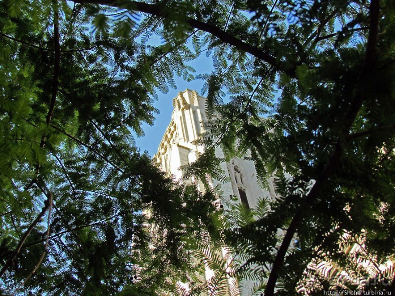 University of Toledo — один из крупнейших университетов США