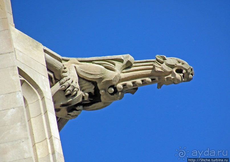 University of Toledo — один из крупнейших университетов США