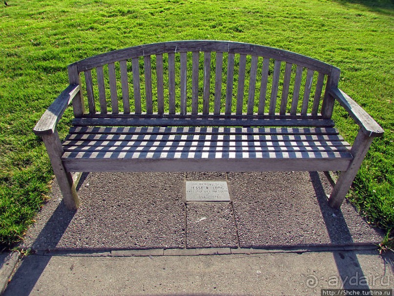 University of Toledo — один из крупнейших университетов США