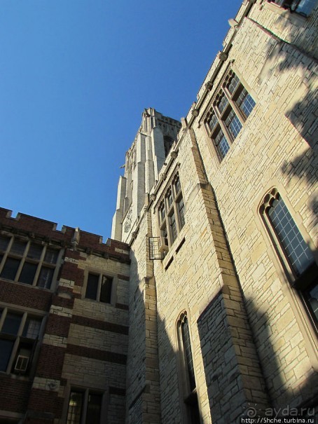 University of Toledo — один из крупнейших университетов США