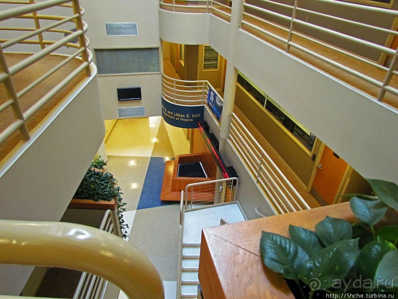 University of Toledo — один из крупнейших университетов США